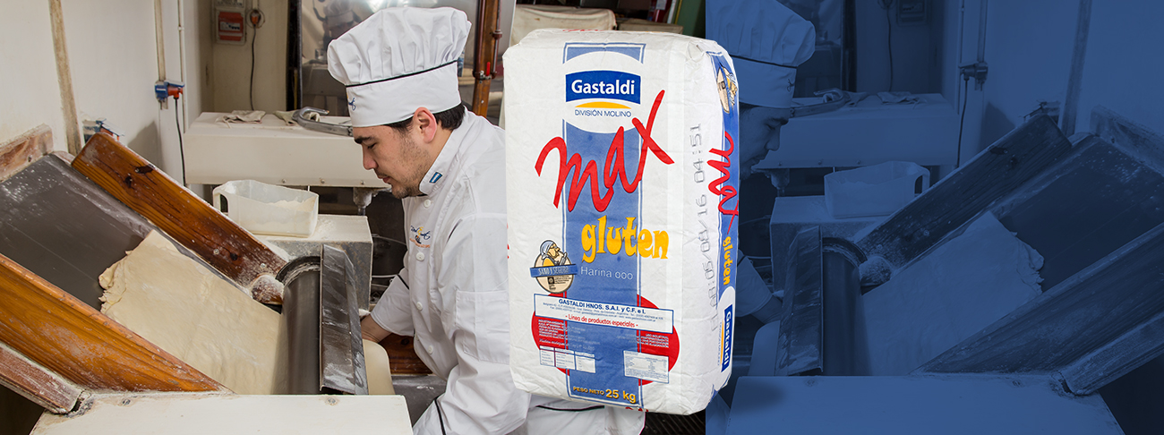 harina gastaldi max