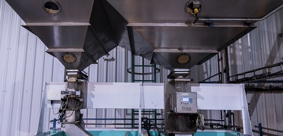 Detectores Gastaldi hermanos