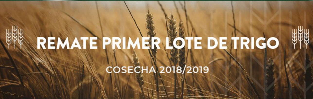 Primer Lote de Trigo 2018/2019