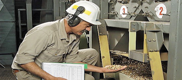 Descascarado Gastaldi hermanos Descascarado Gastaldi hermanos