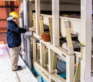 Tamanado Gastaldi hermanos Tamanado Gastaldi hermanos