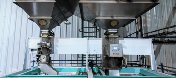 detectores Gastaldi hermanos detectores Gastaldi hermanos