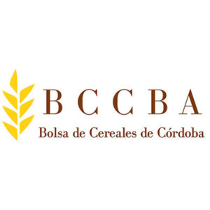 05-BCCBA