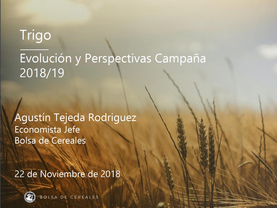 remate-primer-lote-de-trigo