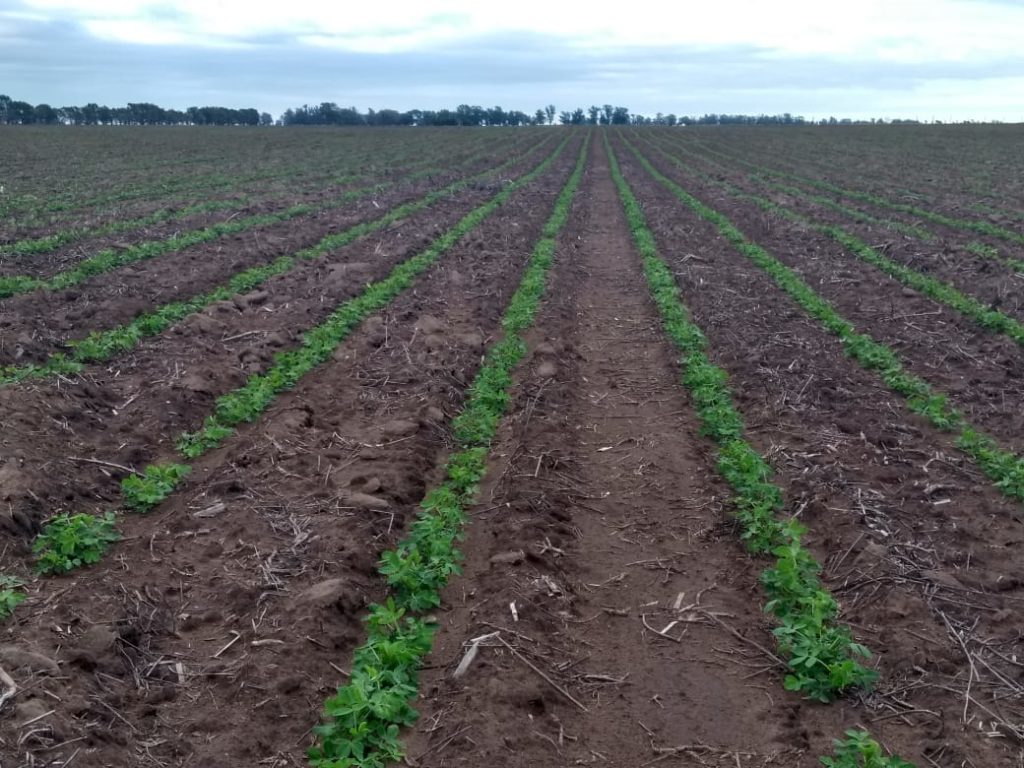 Image 9: Eastern area