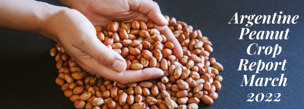 Peanut Crop Report as per March 7th, 2022