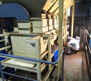 DJI_0251_cleanup_305x270