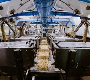 mani161_cleanup_305x270