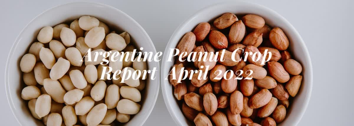 Peanut Crop Report as of 4 April 2022