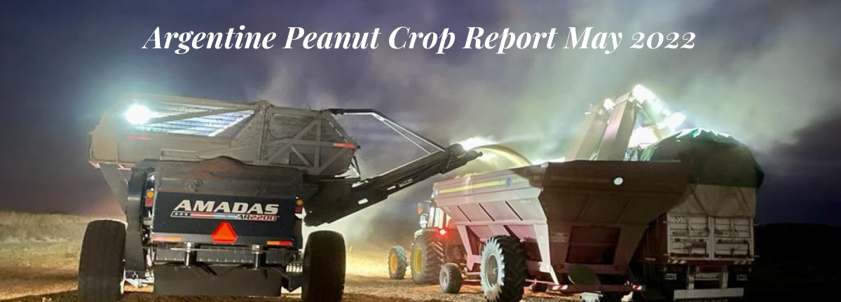 argentine peanuts crop report