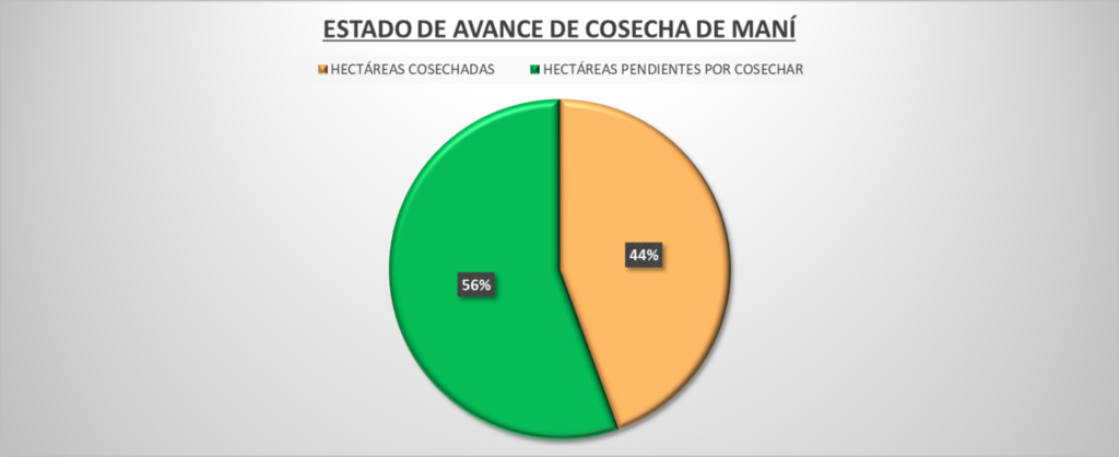 Avance de cosecha para Reporte de Maní