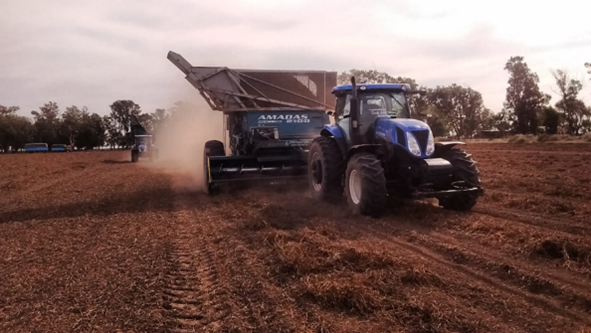 Proceso de cosecha de maní