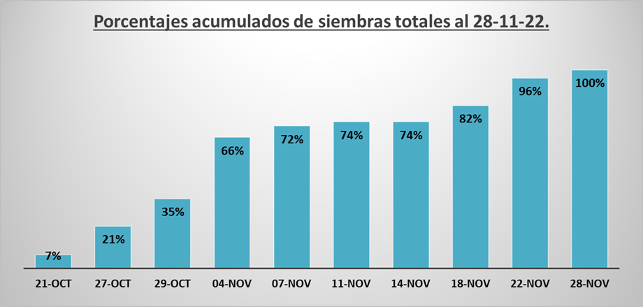 Peanut Planting evolution at 28-11-2022