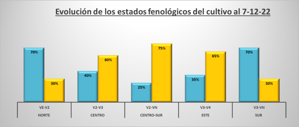 phenological stage of the crop